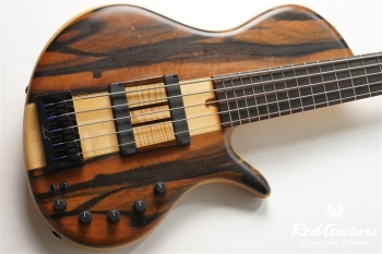 Platinum Series Single-Cut , e-volution 5 - Macassar Ebony
